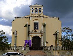 Iglesia de Nuestra Senora de la Concepcion y San Fernando 1 - Toa Alta Puerto Rico.jpg