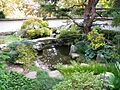 Japanese garden - Atlanta Botanical Garden