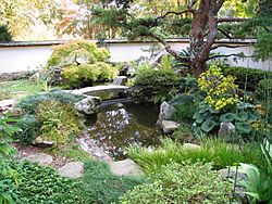 Archivo:Japanese garden - Atlanta Botanical Garden