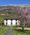La Casita de Olatz 
