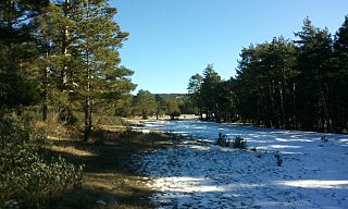 La fuente del Caño, Bronchales.jpg
