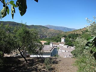 Mecina (9774880756).jpg