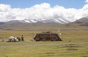 Archivo:Nomads near Namtso