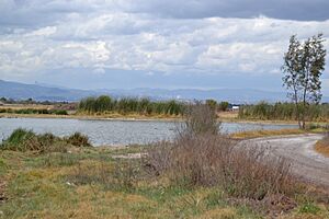 Archivo:Paisaje de Santa Fe