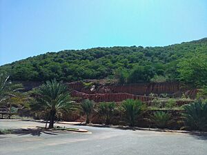 Archivo:Parque Cerro Venezuela 02
