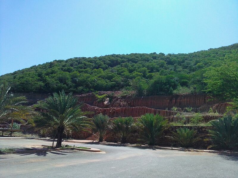 Parque Cerro Venezuela 02