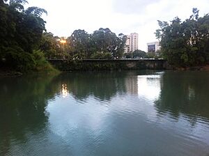 Archivo:Parque Metropolitano La Sabana, Costa Rica