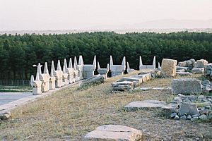Archivo:Persepolis-horn shaped stones