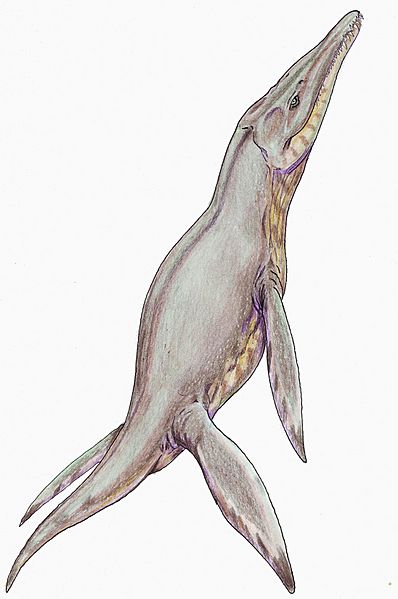 PliosaurusDB12