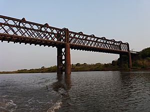 Archivo:Puente ferroviario en el río Arapey 2