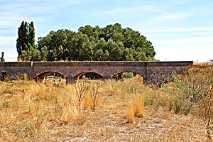 Archivo:Puente sobre el río Almar en Bóveda del Río Almar