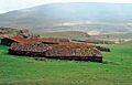 Retortillo de Soria 1976 03