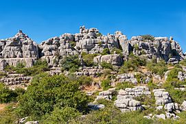 Rocks El Torcal de Antequera karst Andalusia Spain