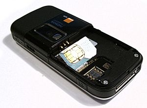 Archivo:SIM Card Holder