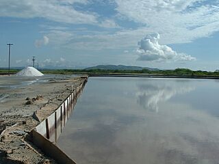 Archivo:Salinas de Cabo Rojo, Puerto Rico