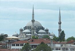 Sehzade Mosque DSCF3149