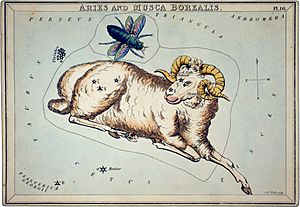 Archivo:Sidney Hall, Aries and Musca Borealis, 1825