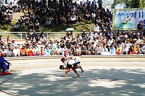 Archivo:Ssirum (ssireum 씨름) Korean Folk Wrestling in North Korea (10110007403)
