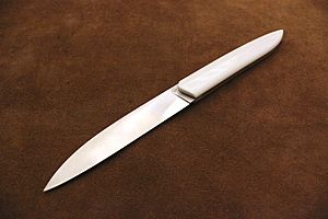 Archivo:Steak knife