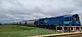 Train & Fields in Acebal
