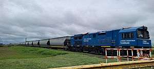 Archivo:Train & Fields in Acebal