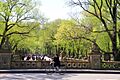 USA-NYC-Central Park-The Mall0