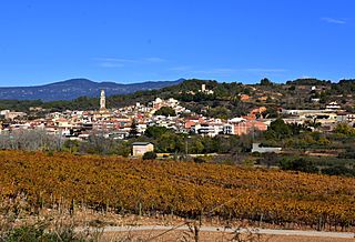 Vila-rodona, Alt Camp, Tarragona - 51706747906.jpg