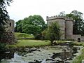 Whittington Castle 04