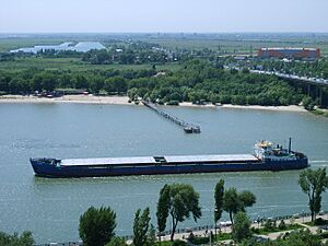 Archivo:Wiev to left riverside of Don - panoramio
