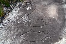 Archivo:(1)rock carvings Bondi-4