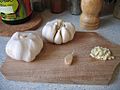 All Garlic Ail Ajo
