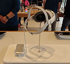 Apple Vision Pro with charger (cropped).jpg