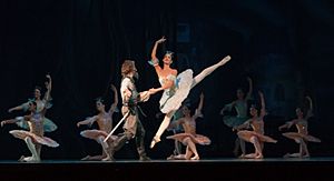 Archivo:Ballet Don Quijote en Teatro Teresa Carreño 2