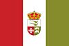 Bandera Aliste 4.jpg