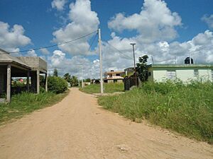 Archivo:Calle sin tipica de Villa Cesarina