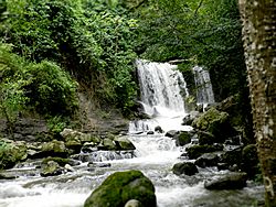 Archivo:Cataratas del Hueque (2)