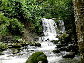 Cataratas del Hueque (2).JPG