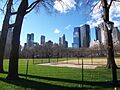 Central Park Jan 07