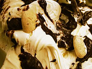 Archivo:Chocolate Chip Ice Cream 01