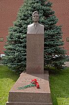 Archivo:DSC-0094-kremlin-wall-necropolis-suslov-tomb-july-2016