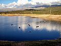 Dique la Viña botes