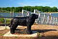Dog Statue (Columbia County, Oregon scenic images) (colDA0060a)