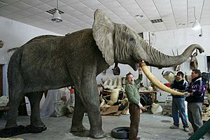 Archivo:Elefante de Salvatore Rabito