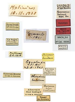 Archivo:Etiquetas de colección