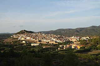 Fotodiurnateresa.jpg