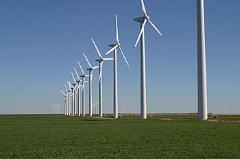 Archivo:GreenMountainWindFarm Fluvanna 2004
