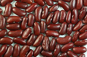 Archivo:Kidney beans