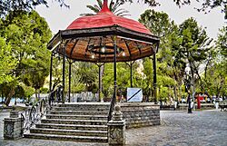 Kiosko San Buenaventura Coah.jpg