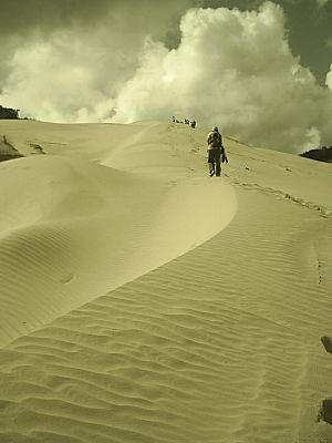 Archivo:La Guajira desert