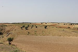 Archivo:Monte junto al Sorbe (Humanes)
